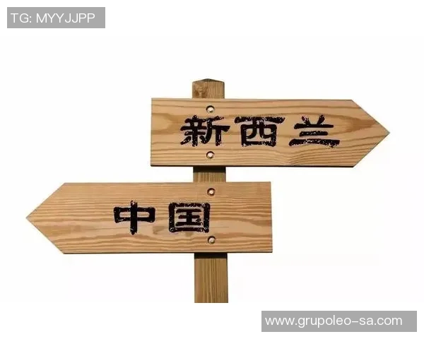 国际制裁背景下澳门贵宾业务的挑战与机遇分析